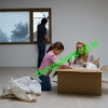 Just how to Establish Whether Moving Organization is Real or Perhaps not