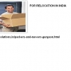 Regional Shifting with Packers and Movers Gurgaon